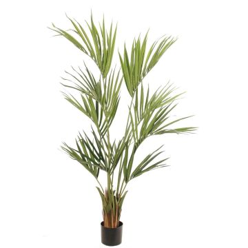 Palmera kentia artificial PAIGE, 155 cm