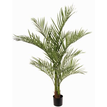 Palmera areca artificial JUMBOLINO, 150cm Palmera areca artificial JUMBOLINO, 150cm