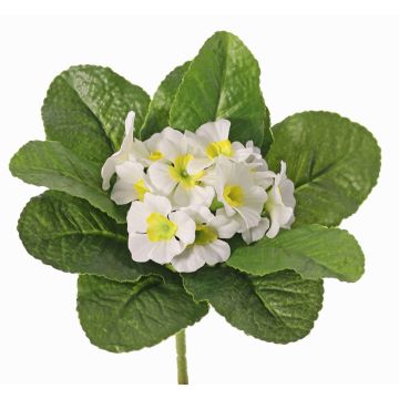 Prímula artificial SUNDARA en varilla de ajuste, blanco, 20cm, Ø4cm Prímula artificial SUNDARA en varilla de ajuste, blanco, 20cm, Ø4cm