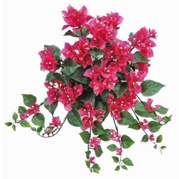 Planta colgante de buganvilla artificial JAMILAH en varilla de ajuste, zona de tránsito, fucsia, 50cm Planta colgante de buganvilla artificial JAMILAH en varilla de ajuste, zona de tránsito, fucsia, 50cm