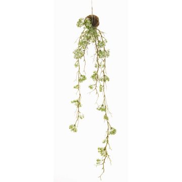 Planta colgante de margaritas artificiales SIRIA sobre bola de musgo, blanco, 90cm Planta colgante de margaritas artificiales SIRIA sobre bola de musgo, blanco, 90cm