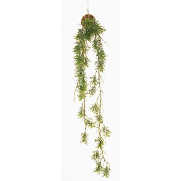 Romero artificial colgante IOANNIS sobre bola de musgo, verde, 90cm Romero artificial colgante IOANNIS sobre bola de musgo, verde, 90cm