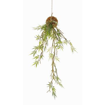 Planta colgante de bambú artificial ALECTO sobre bola de musgo, verde, 60cm Planta colgante de bambú artificial ALECTO sobre bola de musgo, verde, 60cm