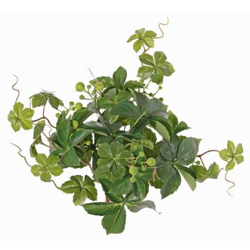 Arbusto de parthenocissus artificial AMYCUS en varilla de ajuste, frutas, verde, 35cm Arbusto de parthenocissus artificial AMYCUS en varilla de ajuste, frutas, verde, 35cm