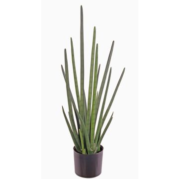 Sansevieria Cylindrica artificial ASTARIA, verde, 95cm Sansevieria Cylindrica artificial ASTARIA, verde, 95cm
