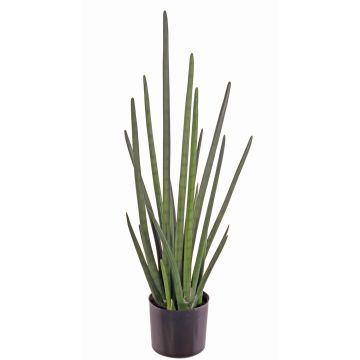 Sansevieria Cylindrica artificial ASTARIA, verde, 95cm