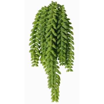 Sedum morganianum artificial colgante DESPOINA, verde, 30cm Sedum morganianum artificial colgante DESPOINA, verde, 30cm