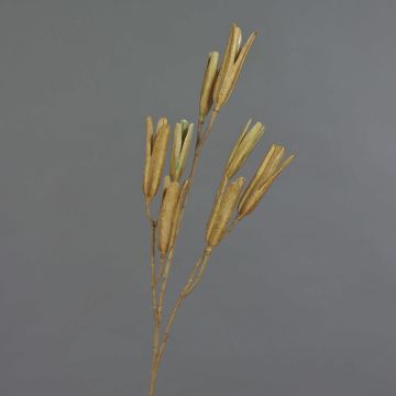 Rama de lirio artificial ELFIDA, marrón, 80cm