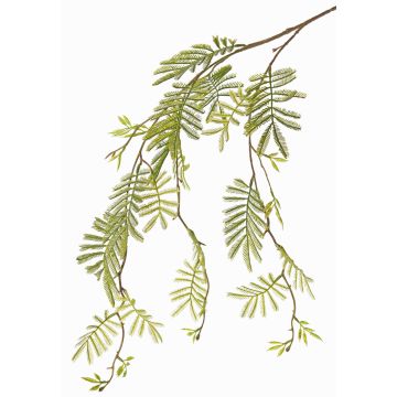 Rama de mimosa artificial ELPIDA, verde, 110cm Rama de mimosa artificial ELPIDA, verde, 110cm