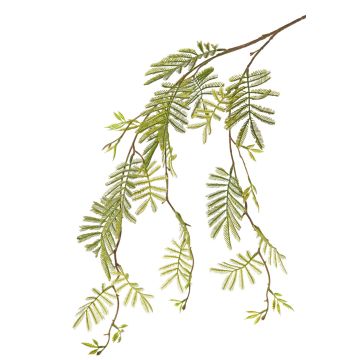 Rama de mimosa artificial ELPIDA, verde, 110cm