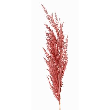 Rama artificial de hierba de la pampa ERATO, rosa, 100cm
