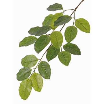 Rama de higuera artificial ERASMOS, difícilmente inflamable, verde, 80cm Rama de higuera artificial ERASMOS, difícilmente inflamable, verde, 80cm