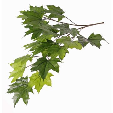Rama de arce artificial EUSEBIA, difícilmente inflamable, verde, 80cm Rama de arce artificial EUSEBIA, difícilmente inflamable, verde, 80cm