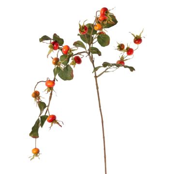 Rama de rosa silvestre artificial FILONAS con frutos, naranja-rojo, 105cm
