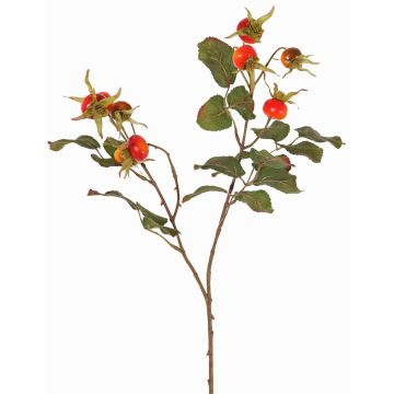 Rama de rosa silvestre artificial FILONAS con frutos, naranja-rojo, 60cm Rama de rosa silvestre artificial FILONAS con frutos, naranja-rojo, 60cm