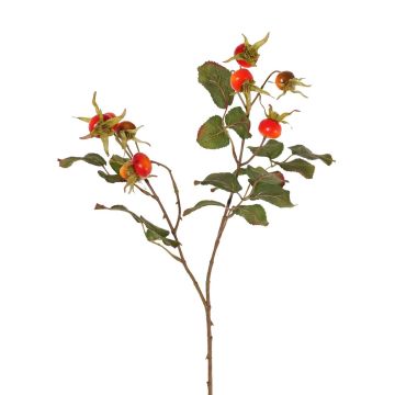 Rama de rosa silvestre artificial FILONAS con frutos, naranja-rojo, 60cm Rama de rosa silvestre artificial FILONAS con frutos, naranja-rojo, 60cm