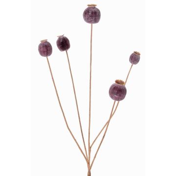 Cápsula de amapola artificial FILOMELA, marrón oscuro, 75cm, Ø2-3,5cm Cápsula de amapola artificial FILOMELA, marrón oscuro, 75cm, Ø2-3,5cm