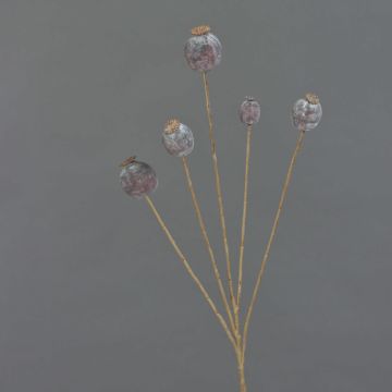 Cápsula de amapola artificial FILOMELA, marrón oscuro, 75cm