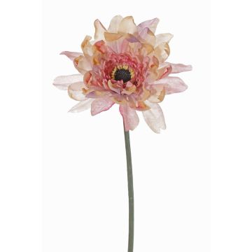 Gerbera artificial PAMILLA, rosa palo-crema, 65cm, Ø12cm Gerbera artificial PAMILLA, rosa palo-crema, 65cm, Ø12cm