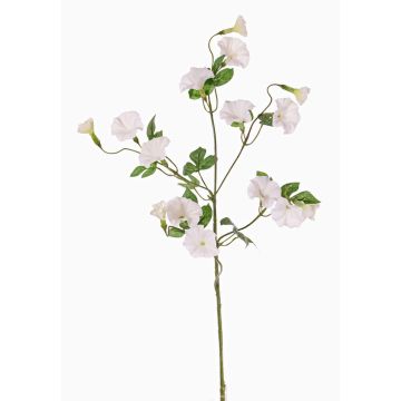 Ipomoea artificial IORDANIS, blanca, blanco, 80cm, Ø3-5,5cm Ipomoea artificial IORDANIS, blanca, blanco, 80cm, Ø3-5,5cm