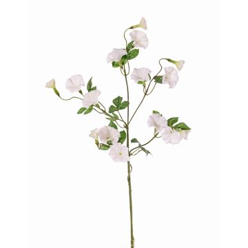 Ipomoea artificial IORDANIS, blanca, 65cm Ipomoea artificial IORDANIS, blanca, 65cm