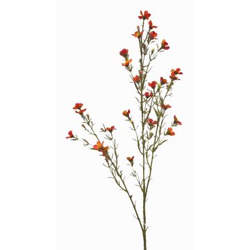 Flor de cera artificial NIANG, naranja-rojo, 80cm, Ø1,5-2,5cm