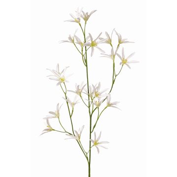 Tweedia solanoides artificial PALLAS, blanco, 75cm, Ø5cm