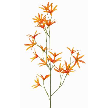 Tweedia solanoides artificial PALLAS, naranja, 70cm, Ø5cm