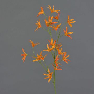 Tweedia solanoides artificial PALLAS, naranja, 75cm, Ø5cm