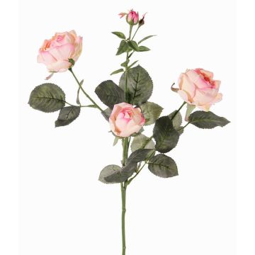 Rama artificial de rosas DIAMANTIS, rosa-crema, 70cm, Ø5-8cm Rama artificial de rosas DIAMANTIS, rosa-crema, 70cm, Ø5-8cm