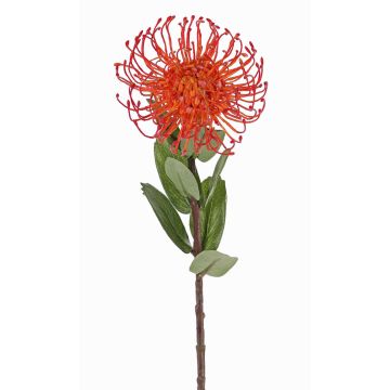 Protea artificial BAILY, naranja, 55cm, Ø10cm Protea artificial BAILY, naranja, 55cm, Ø10cm