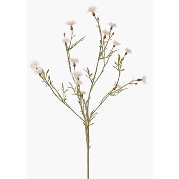 Aciano artificial ZENOBIOS, crema, 80cm, Ø3-4cm Aciano artificial ZENOBIOS, crema, 80cm, Ø3-4cm