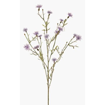 Aciano artificial ZENOBIOS, azul-lila, 80cm, Ø3-4cm Aciano artificial ZENOBIOS, azul-lila, 80cm, Ø3-4cm