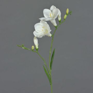 Freesia artificial MARUSHA, blanca, 65cm, Ø7cm Freesia artificial MARUSHA, blanca, 65cm, Ø7cm
