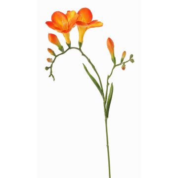 Freesia artificial MARUSHA, naranja, 70cm, Ø6cm Freesia artificial MARUSHA, naranja, 70cm, Ø6cm