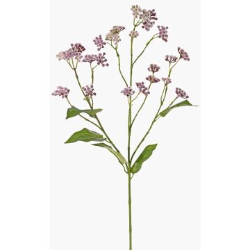 Eupatorium artificial KORALIA, lila, violeta, 80cm, Ø4-7cm Eupatorium artificial KORALIA, lila, violeta, 80cm, Ø4-7cm