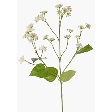Eupatorium artificial KORALIA, crema, 80cm, Ø4-7cm Eupatorium artificial KORALIA, crema, 80cm, Ø4-7cm
