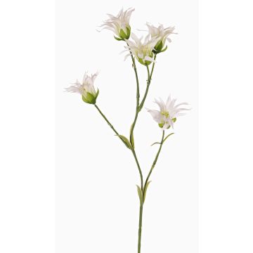 Clavel japonés artificial KASTALIA, crema, 65cm, Ø4-5cm Clavel japonés artificial KASTALIA, crema, 65cm, Ø4-5cm