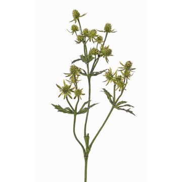 Cardo artificial KALYPSO, verde, 65cm Cardo artificial KALYPSO, verde, 65cm
