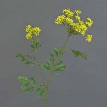 Ammi majus artificial KALIXTUS, verde, 75cm, Ø7-13cm