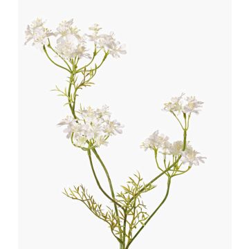 Zanahoria silvestre artificial KALOMIRA, blanca, blanco, 85cm, Ø6-10cm Zanahoria silvestre artificial KALOMIRA, blanca, blanco, 85cm, Ø6-10cm