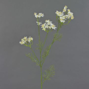 Zanahoria silvestre artificial KALOMIRA, blanca, 85cm