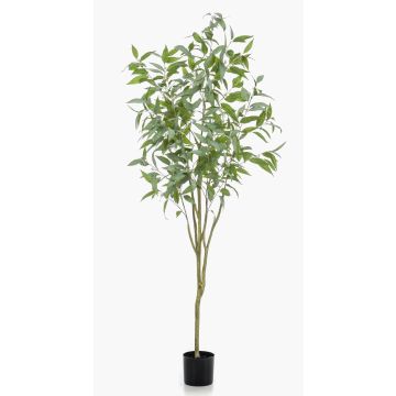 Eucalipto artificial ILONKA, tronco artificial, verde, 195cm