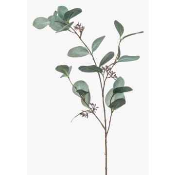 Rama de eucalipto artificial MAXEN con frutos, verde-gris, 75cm Rama de eucalipto artificial MAXEN con frutos, verde-gris, 75cm