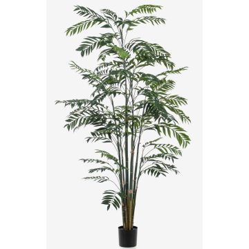 Palmera decorativa de bambú MERIEL, 245cm