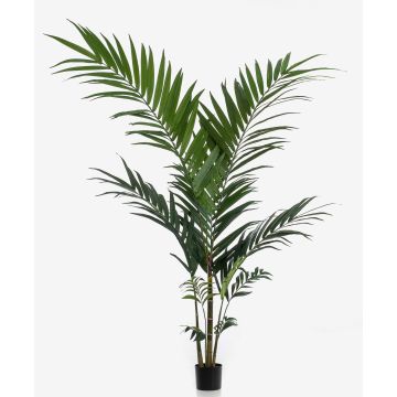 Palma kentia artificial NESTA, 150cm Palma kentia artificial NESTA, 150cm