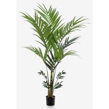 Palma kentia artificial NESTA, 180cm