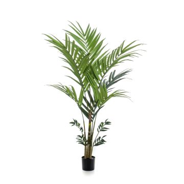 Palma kentia artificial NESTA, 180cm