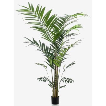 Palma kentia artificial NESTA, 210cm