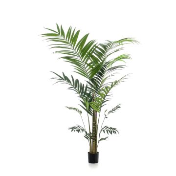 Palma kentia artificial NESTA, 210cm